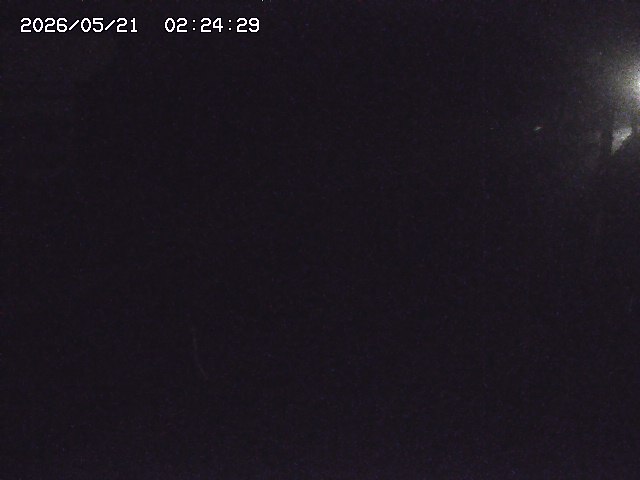 取得できませんでした