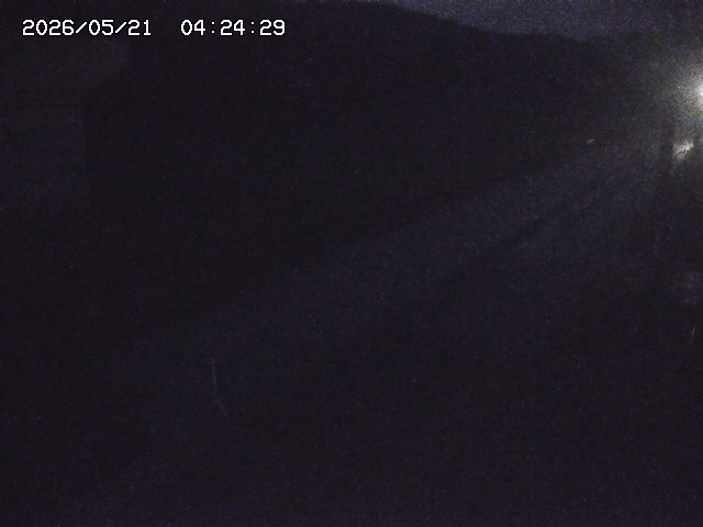 取得できませんでした