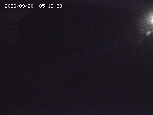 取得できませんでした