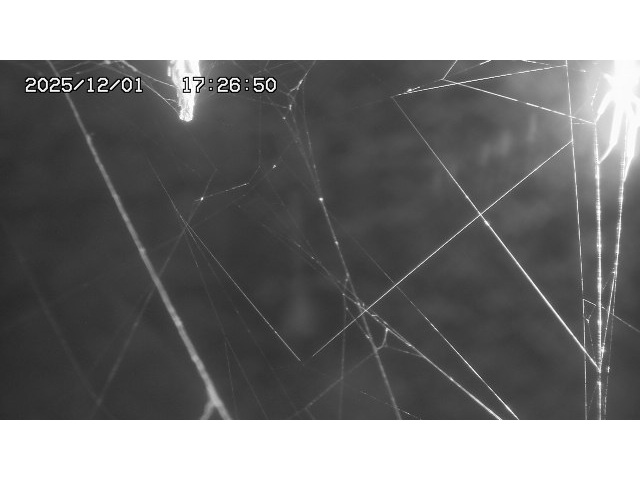 取得できませんでした