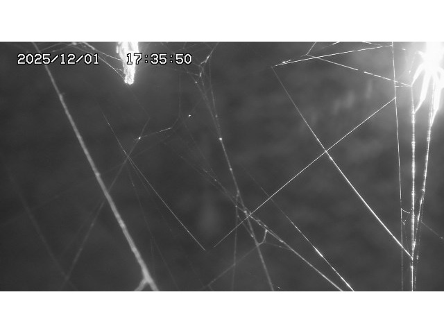 取得できませんでした