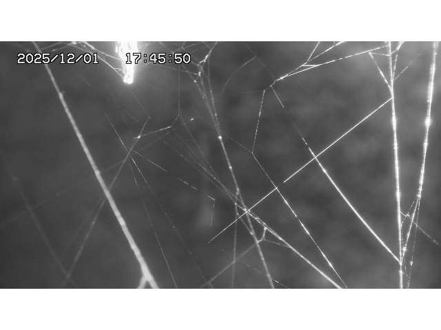 取得できませんでした