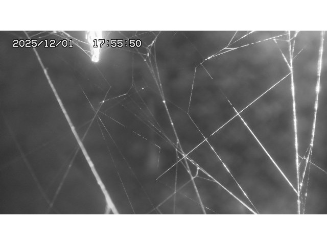 取得できませんでした