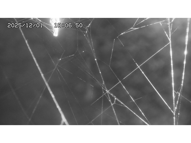 取得できませんでした