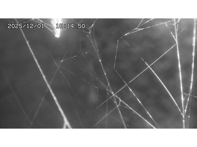 取得できませんでした