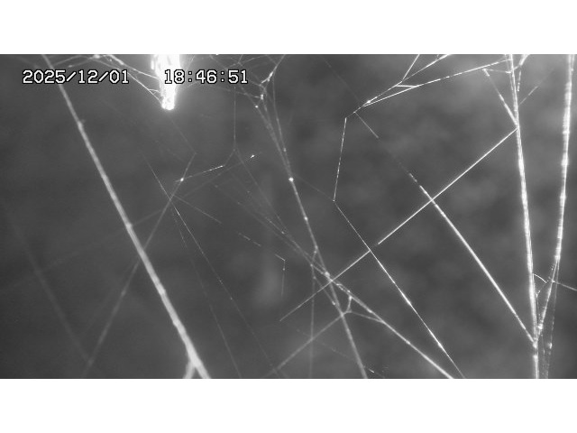 取得できませんでした