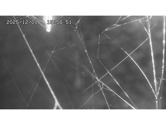 取得できませんでした