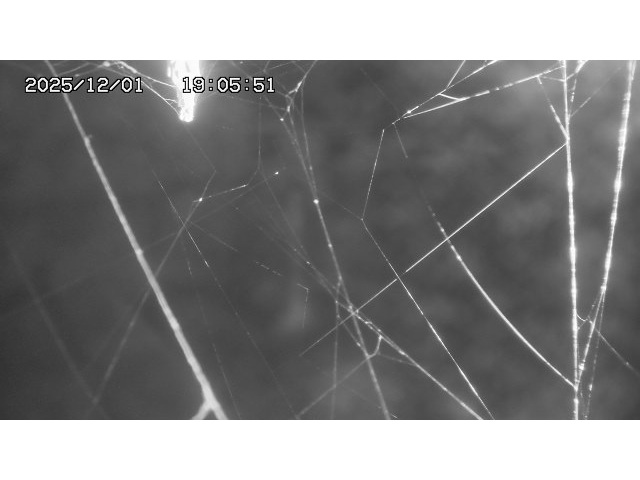 取得できませんでした