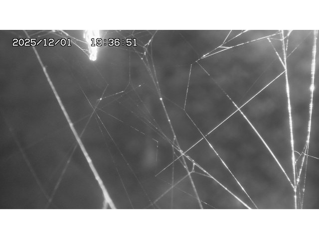 取得できませんでした