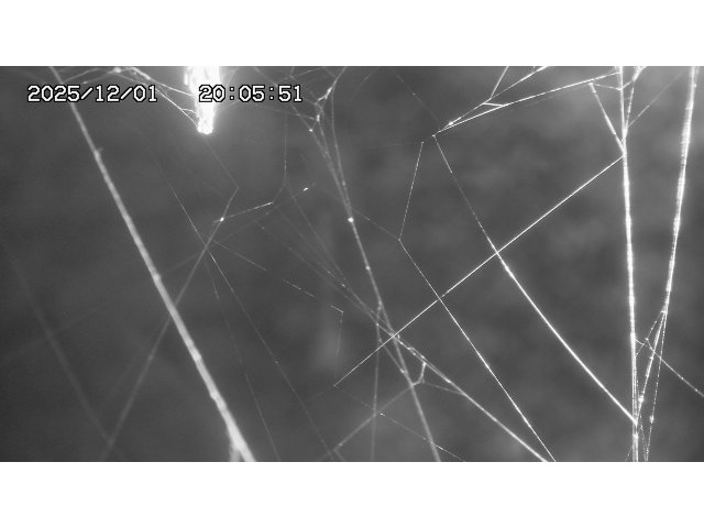 取得できませんでした