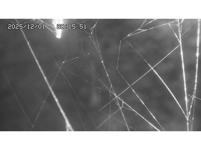 取得できませんでした