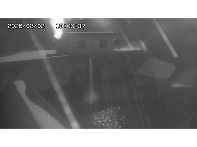 取得できませんでした