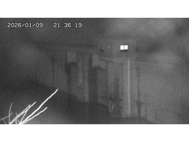 取得できませんでした