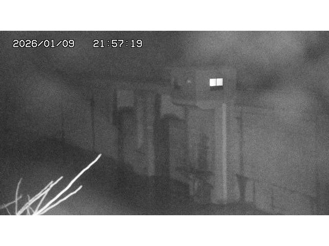 取得できませんでした