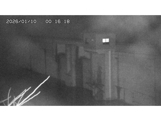 取得できませんでした