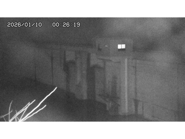 取得できませんでした