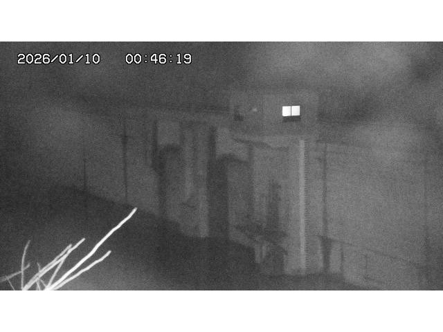 取得できませんでした