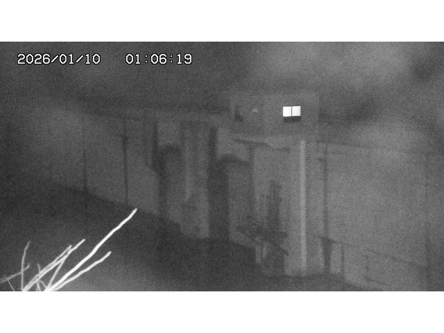 取得できませんでした