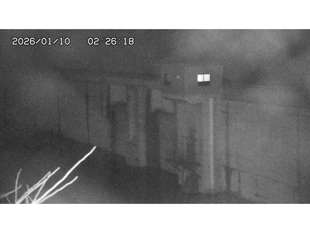 取得できませんでした