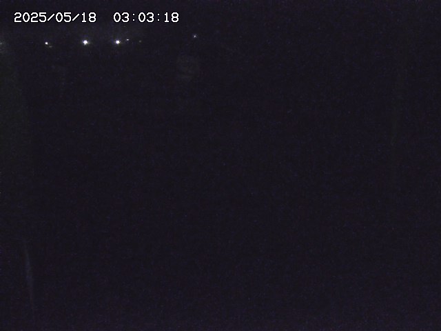 取得できませんでした