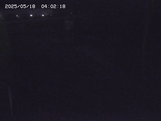 取得できませんでした