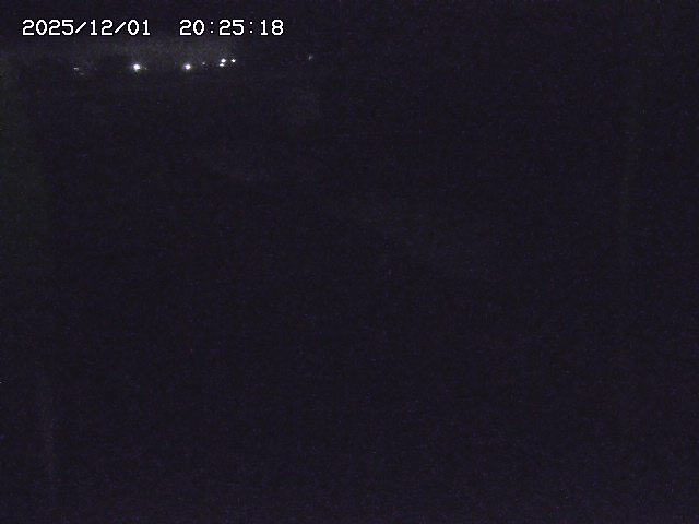 取得できませんでした