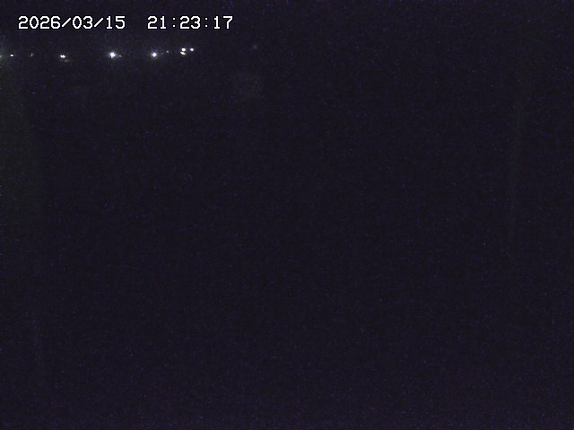 取得できませんでした