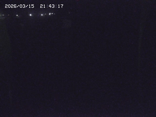 取得できませんでした