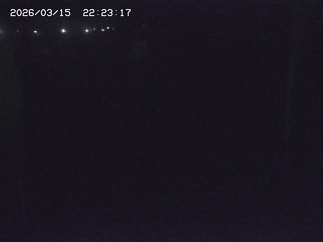 取得できませんでした