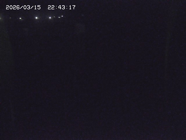 取得できませんでした