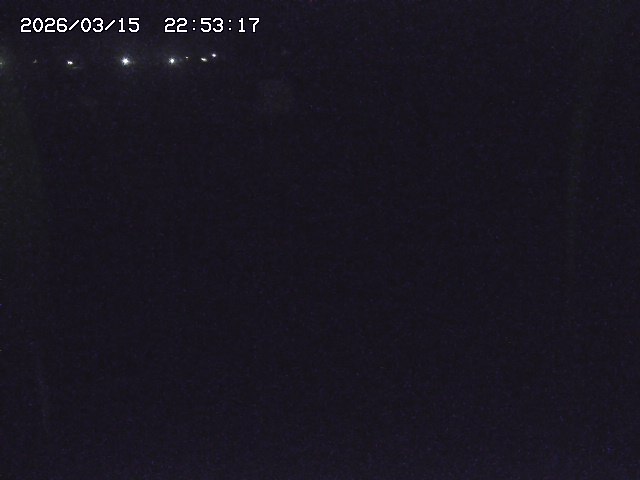 取得できませんでした