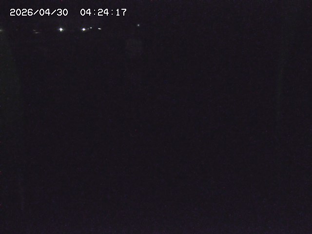 取得できませんでした