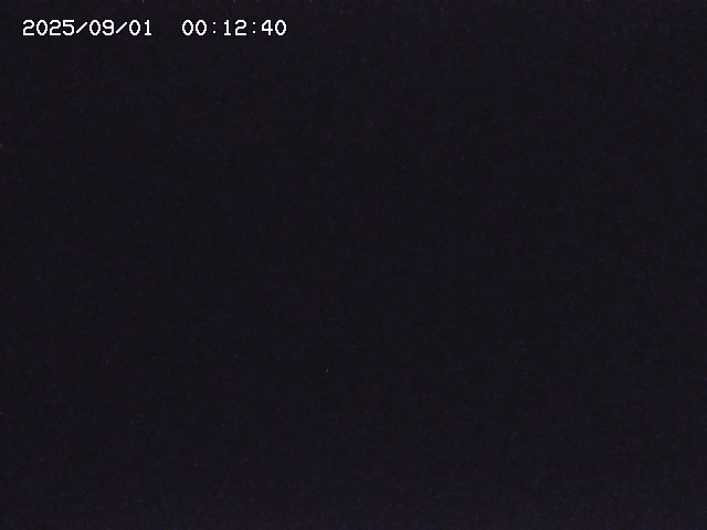 取得できませんでした