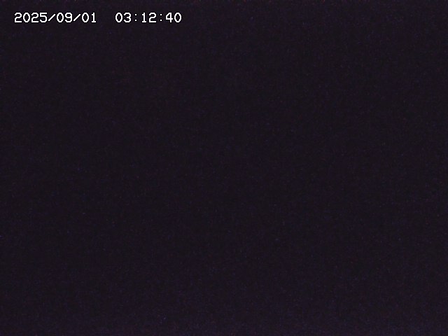 取得できませんでした
