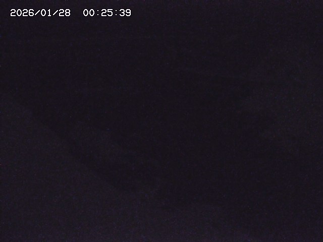 取得できませんでした