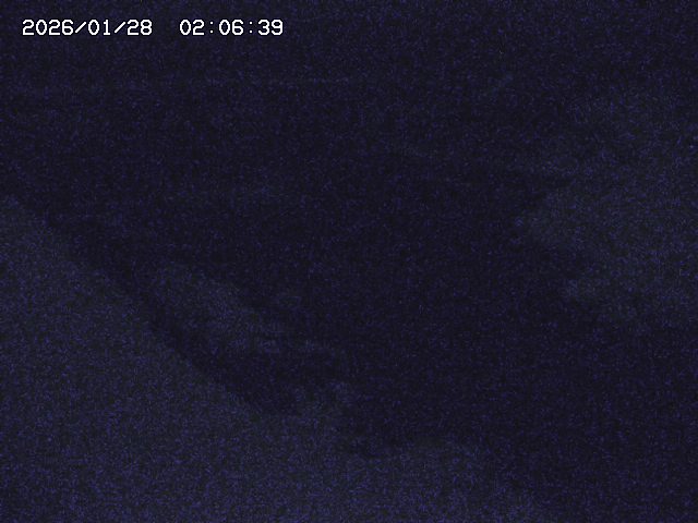 取得できませんでした