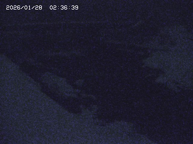 取得できませんでした