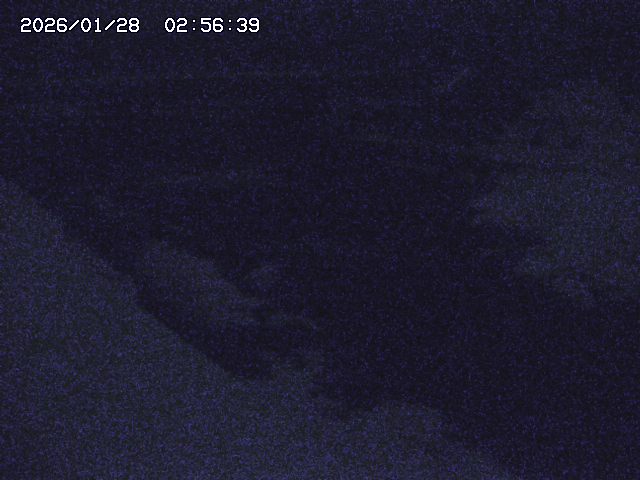 取得できませんでした