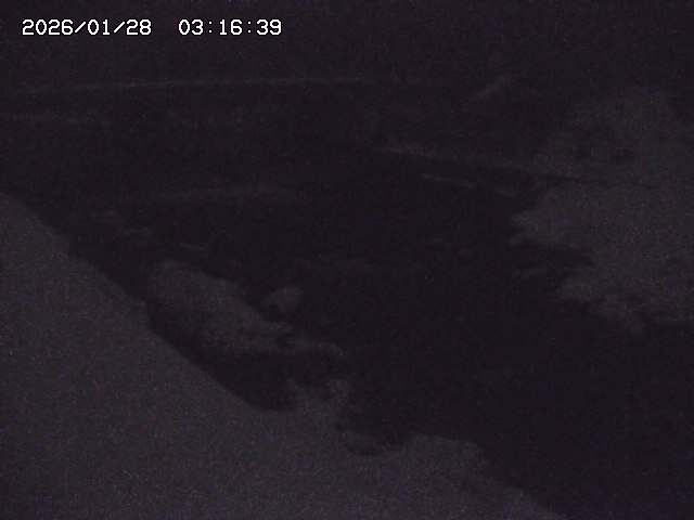 取得できませんでした