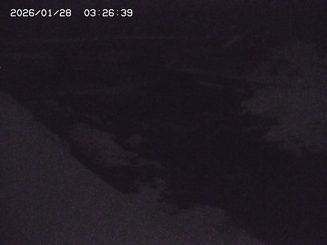 取得できませんでした