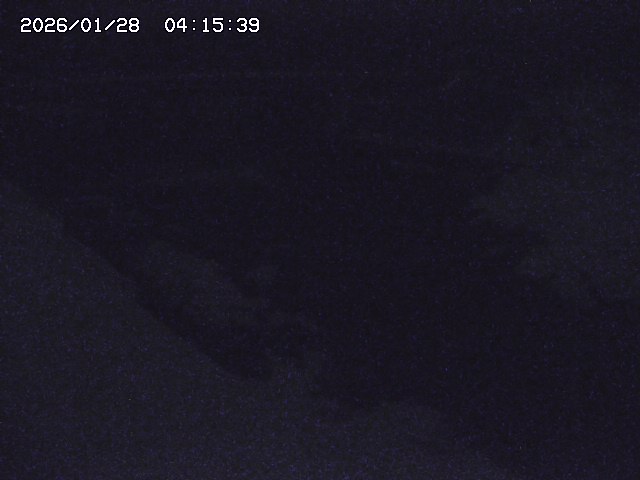 取得できませんでした