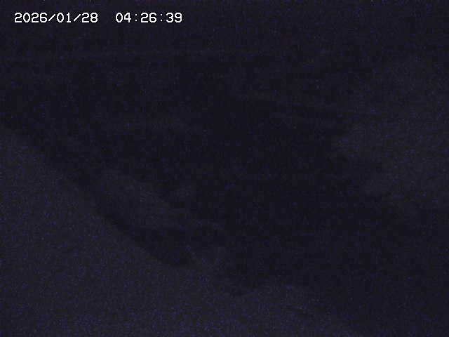 取得できませんでした