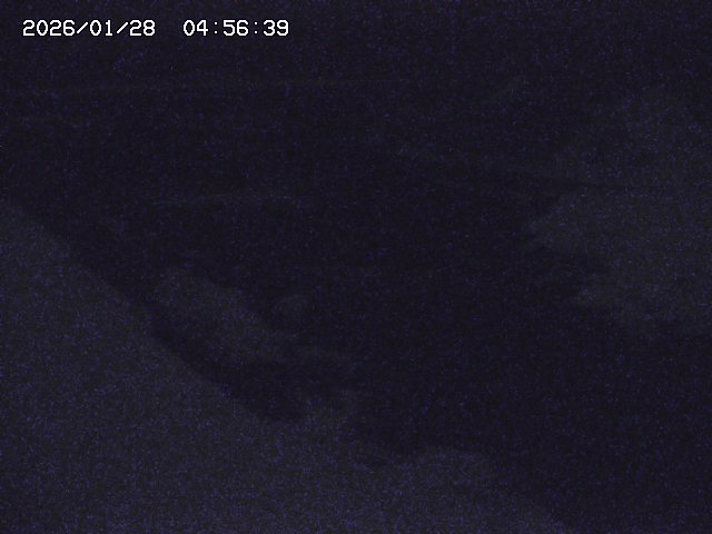 取得できませんでした