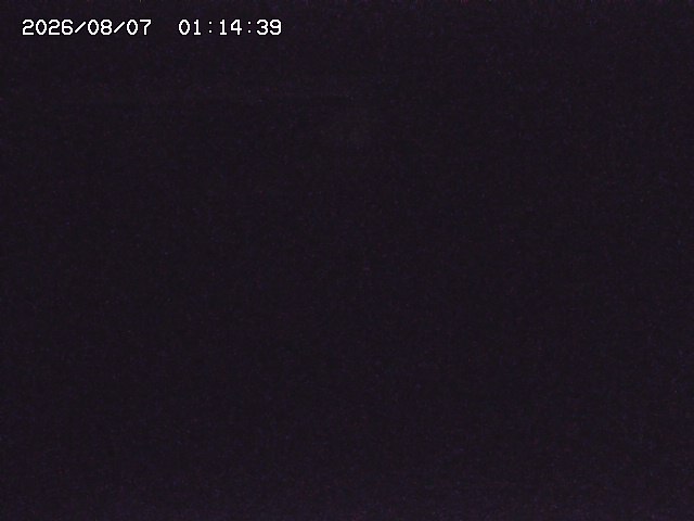 取得できませんでした