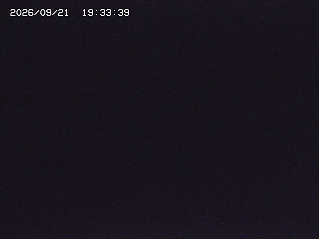 取得できませんでした