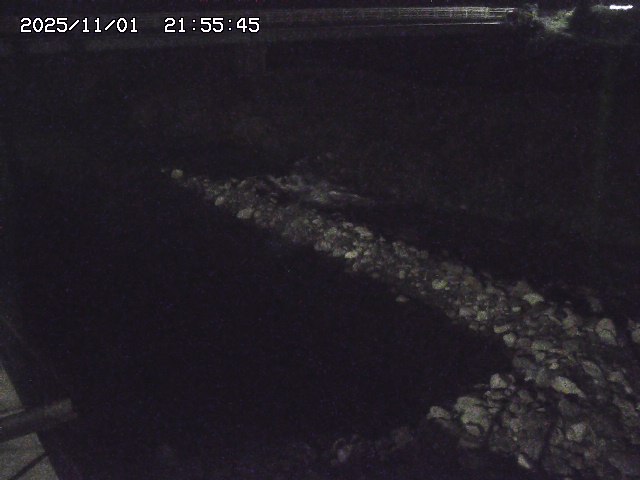 取得できませんでした