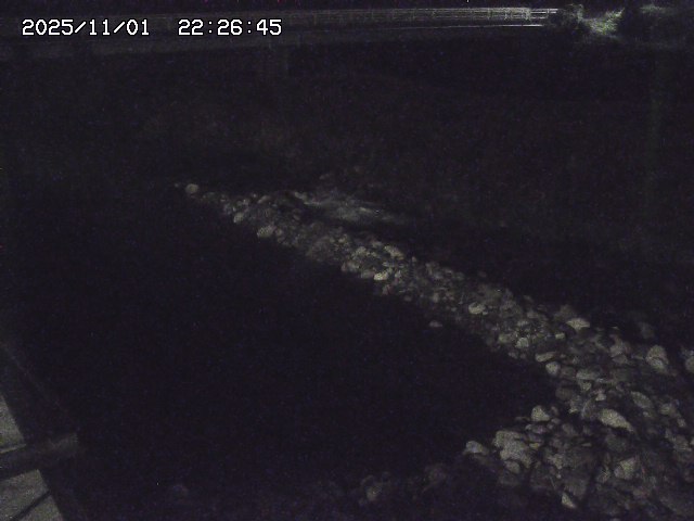 取得できませんでした