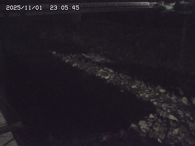 取得できませんでした