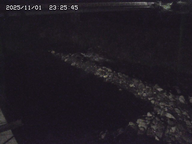 取得できませんでした