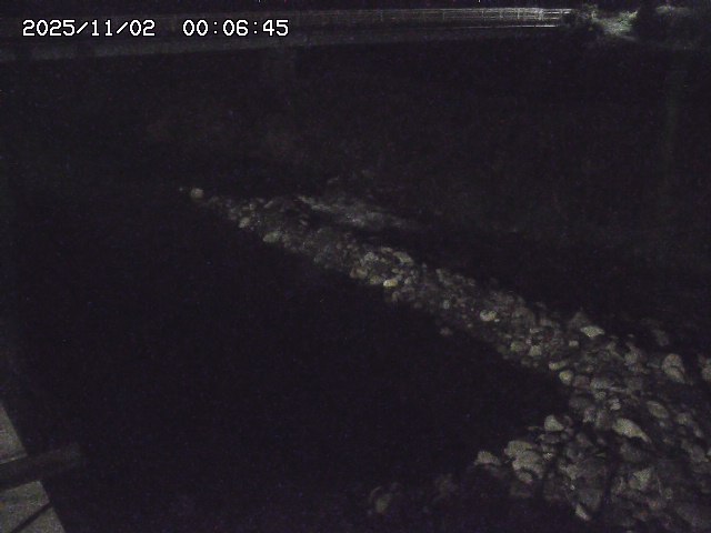 取得できませんでした